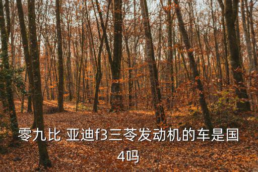 零九比 亞迪f3三苓發動機的車是國4嗎