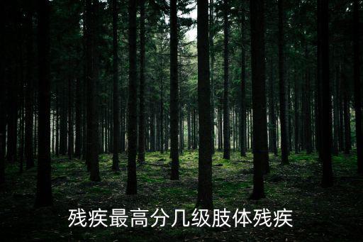 肢體殘疾，殘疾最高分幾級肢體殘疾