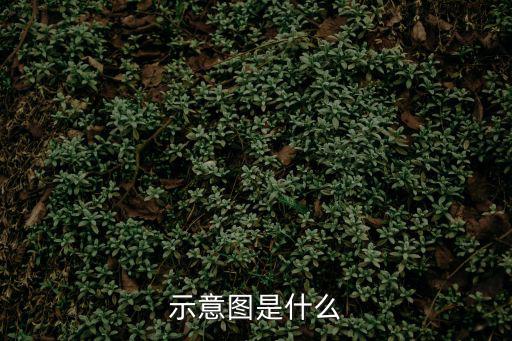 示意圖，什么是示意圖