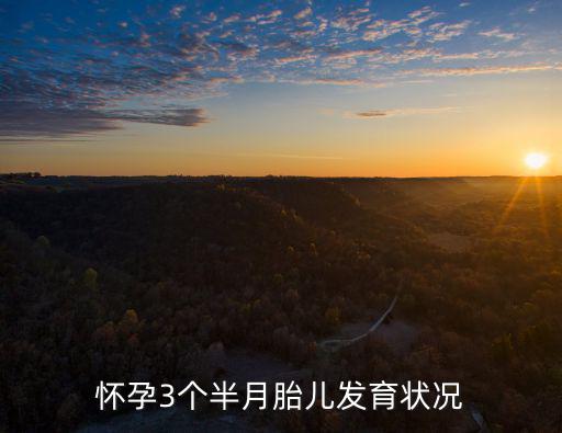 懷孕三個(gè)月胎兒有多大，懷孕3個(gè)半月胎兒發(fā)育狀況