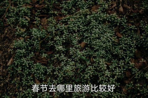 春節去哪里旅游比較好