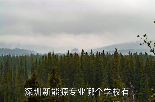 深圳新能源專業(yè)哪個(gè)學(xué)校有