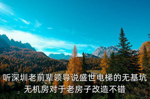 聽深圳老前輩領導說盛世電梯的無基坑無機房對于老房子改造不錯