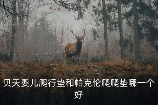貝天嬰兒爬行墊和帕克倫爬爬墊哪一個好