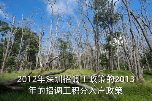2012年深圳招調工政策的2013年的招調工積分入戶政策