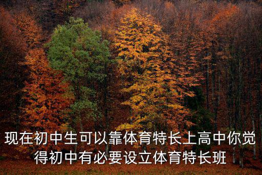 現(xiàn)在初中生可以靠體育特長上高中你覺得初中有必要設立體育特長班