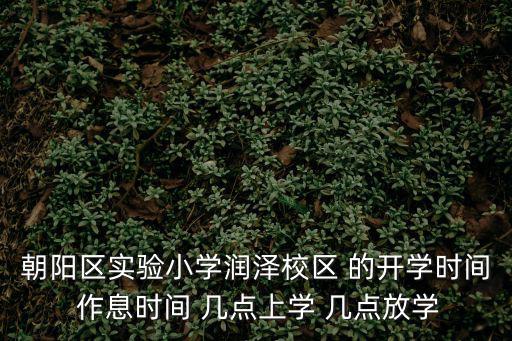 朝陽區實驗小學潤澤校區 的開學時間 作息時間 幾點上學 幾點放學