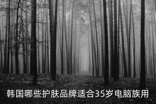 韓國(guó)哪些護(hù)膚品牌適合35歲電腦族用