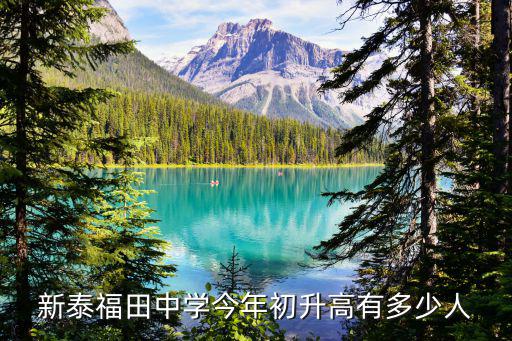 新泰福田中學今年初升高有多少人