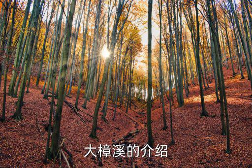 大樟溪的介紹