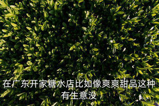 在廣東開家糖水店比如像爽爽甜品這種有生意沒