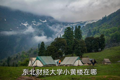小黃樓，東北財經大學小黃樓在哪