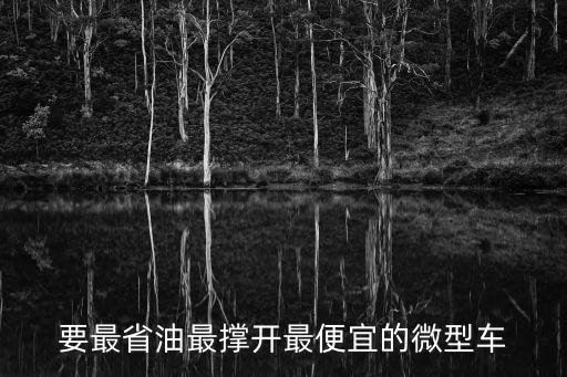 要最省油最撐開最便宜的微型車