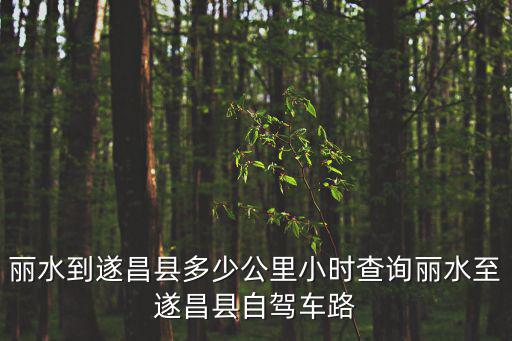 麗水到遂昌縣多少公里小時查詢麗水至遂昌縣自駕車路