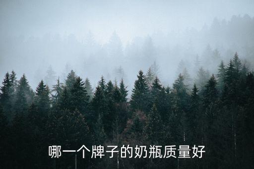 哪一個牌子的奶瓶質量好