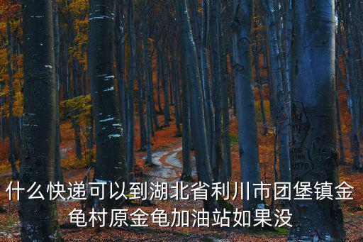 金龜村，請問湖南省什么市什么縣有一個(gè)叫金龜村煙竹組的嗎