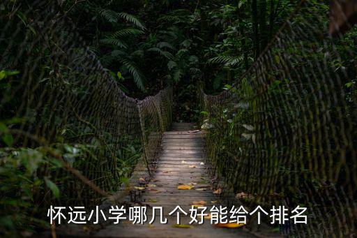 懷遠縣第二實驗小學，懷遠縣顧雨琪有誰認識2002年在第二實驗小學上學