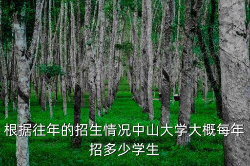 根據往年的招生情況中山大學大概每年招多少學生