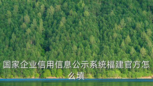 國家企業信用信息公示系統福建官方怎么填