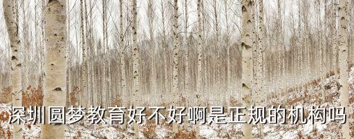 深圳圓夢教育好不好啊是正規(guī)的機構(gòu)嗎