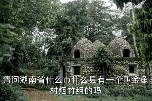 請問湖南省什么市什么縣有一個(gè)叫金龜村煙竹組的嗎