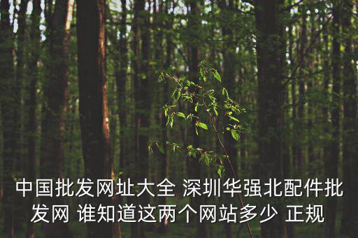 中國批發網址大全 深圳華強北配件批發網 誰知道這兩個網站多少 正規