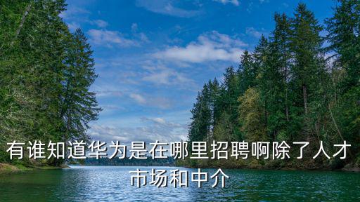 有誰知道華為是在哪里招聘啊除了人才市場和中介
