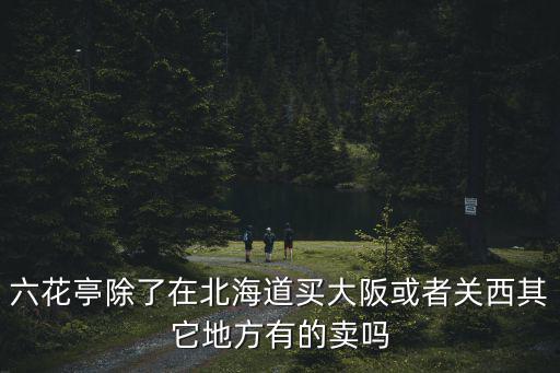 六花亭除了在北海道買大阪或者關(guān)西其它地方有的賣嗎