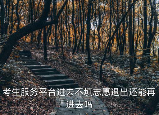 學生服務平臺，考生服務平臺進去不填志愿退出還能再進去嗎