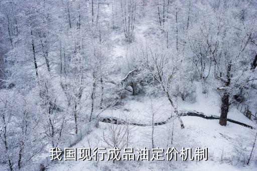 我國現行成品油定價機制
