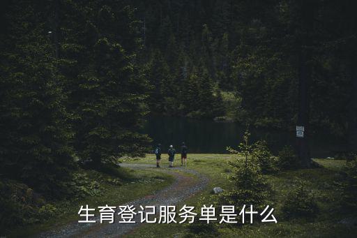 生育登記服務單是什么