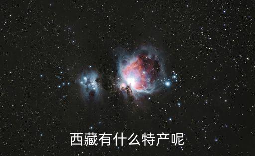 西藏有什么特產呢
