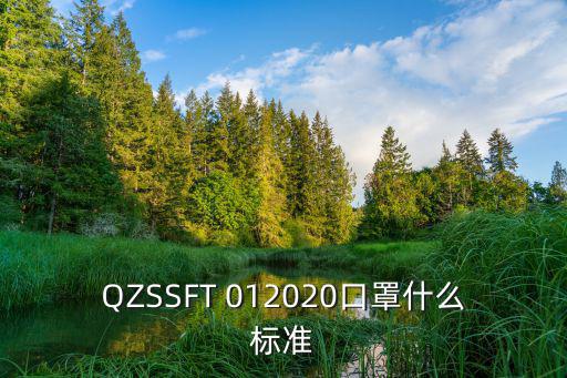 口罩的執行標準，QZSSFT 012020口罩什么標準