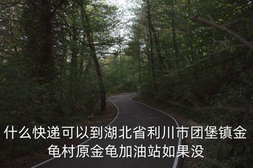 什么快遞可以到湖北省利川市團(tuán)堡鎮(zhèn)金龜村原金龜加油站如果沒