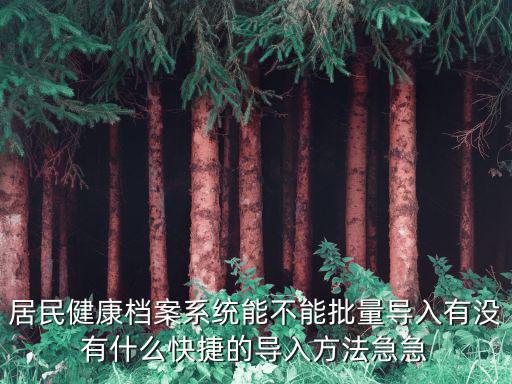 居民健康檔案系統能不能批量導入有沒有什么快捷的導入方法急急