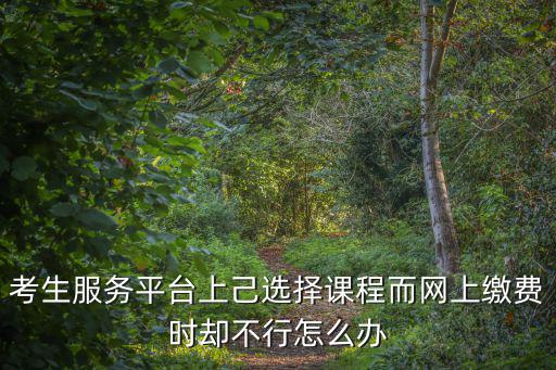考生服務平臺上己選擇課程而網上繳費時卻不行怎么辦