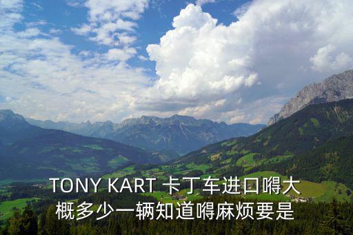 卡丁車多少錢一臺(tái)，卡丁車一輛多少啊