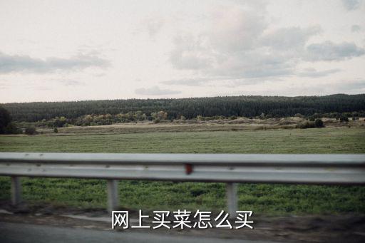 網(wǎng)上買菜怎么買