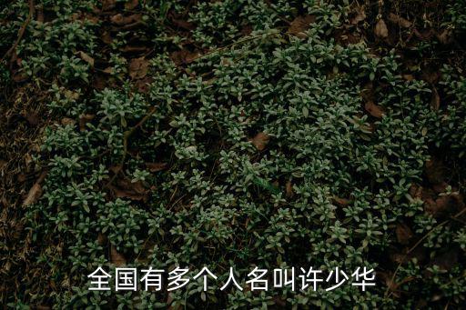 全國有多個人名叫許少華