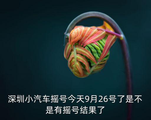 深圳小汽車搖號今天9月26號了是不是有搖號結(jié)果了