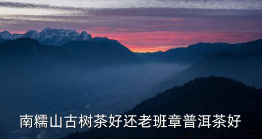 南糯山古樹茶好還老班章普洱茶好