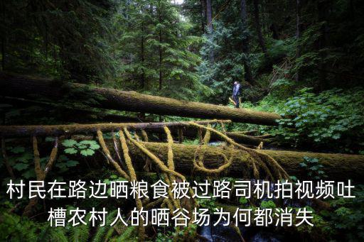 村民在路邊曬糧食被過路司機拍視頻吐槽農村人的曬谷場為何都消失