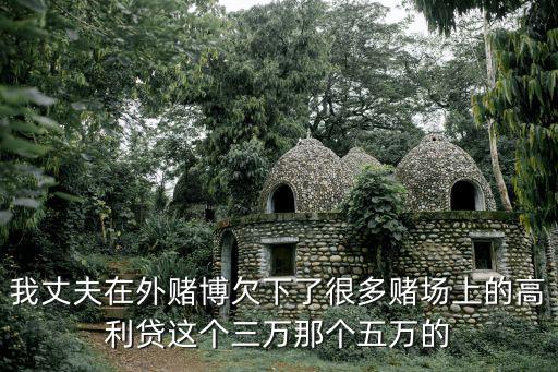 我丈夫在外賭博欠下了很多賭場上的高利貸這個三萬那個五萬的