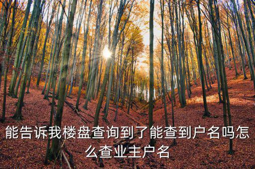 樓盤查詢，請問在不到售樓部的前提下在哪可以查到一個樓盤是不是大產權