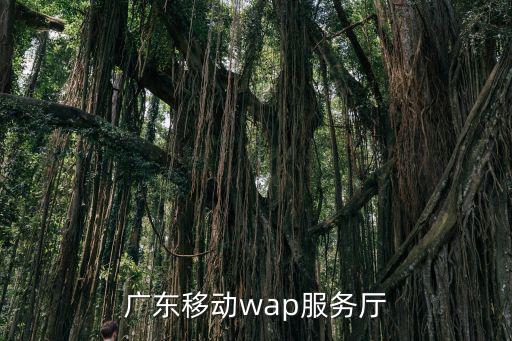 廣東移動wap服務廳