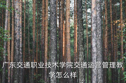 廣東交通職業(yè)技術學院交通運營管理教學怎么樣