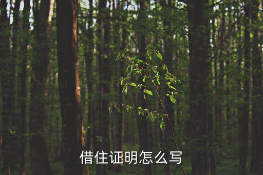 借住證明怎么寫