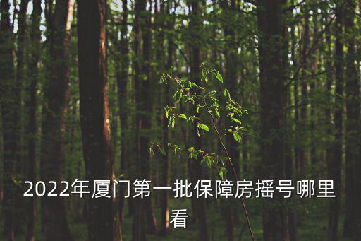 搖號直播，哪個臺直播搖號