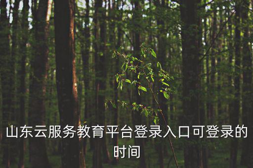 山東云服務(wù)教育平臺登錄入口可登錄的時間