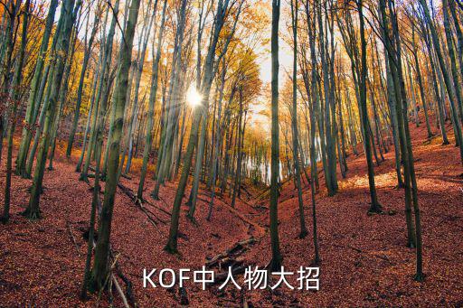 鄭軻，KOF中人物大招